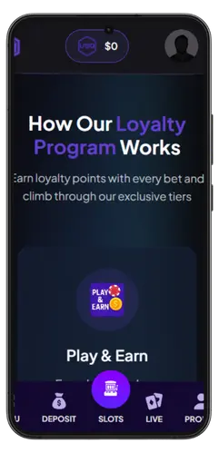 Loyaliteitsprogramma van DreamBet